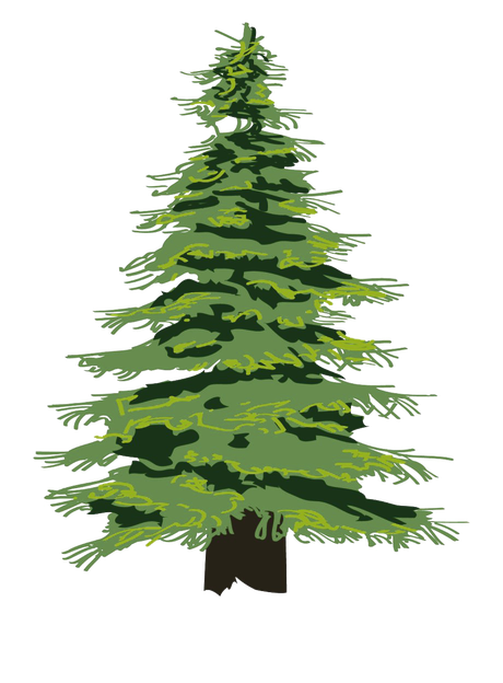 Cedar Tree Transparent Png (black, olive)