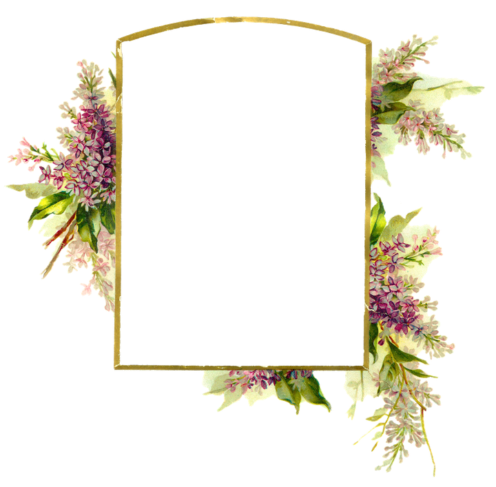 Wedding Flowers Frame Png (black)