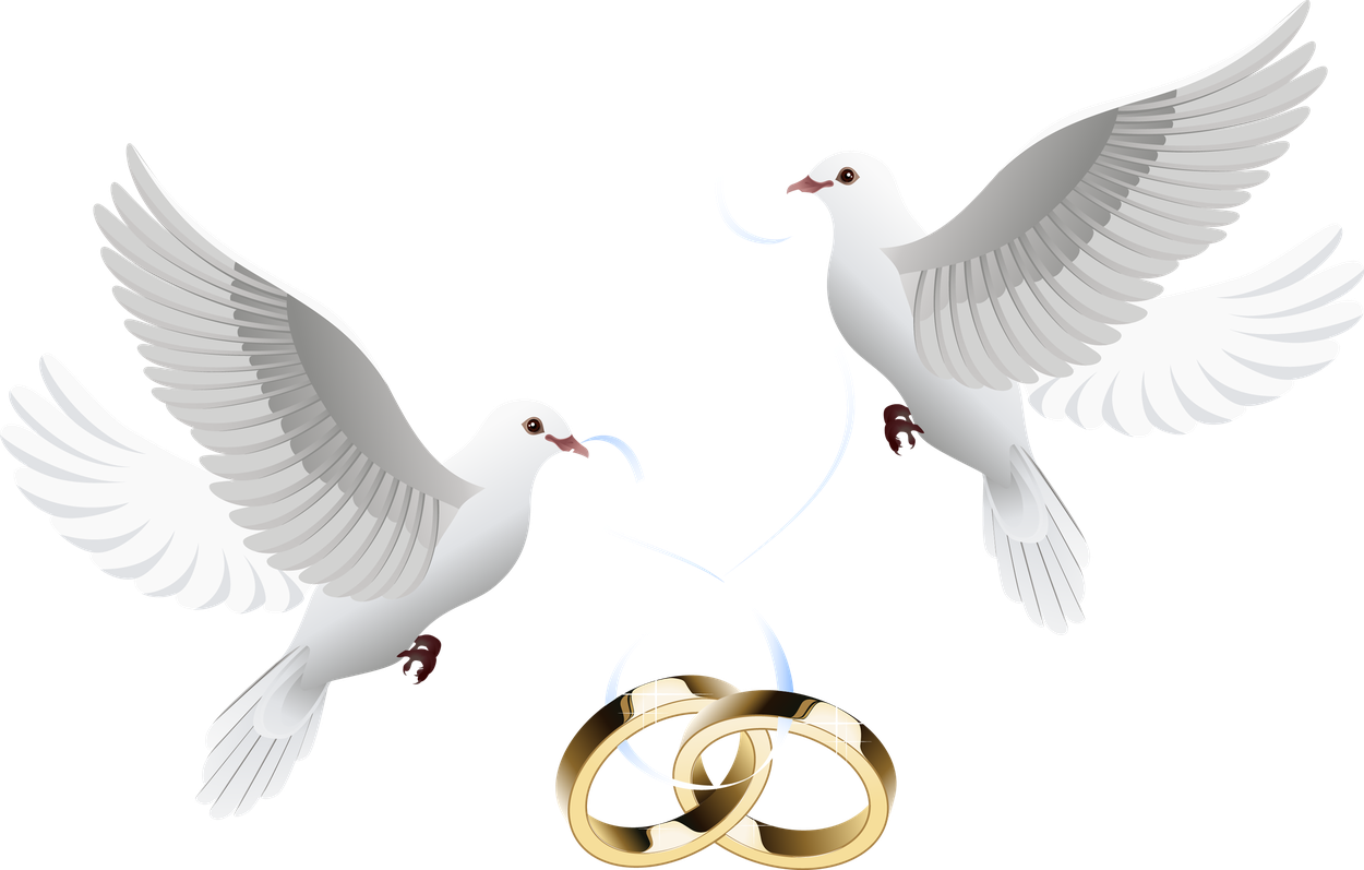 Wedding Pigeon Love Png File (black, silver, white)