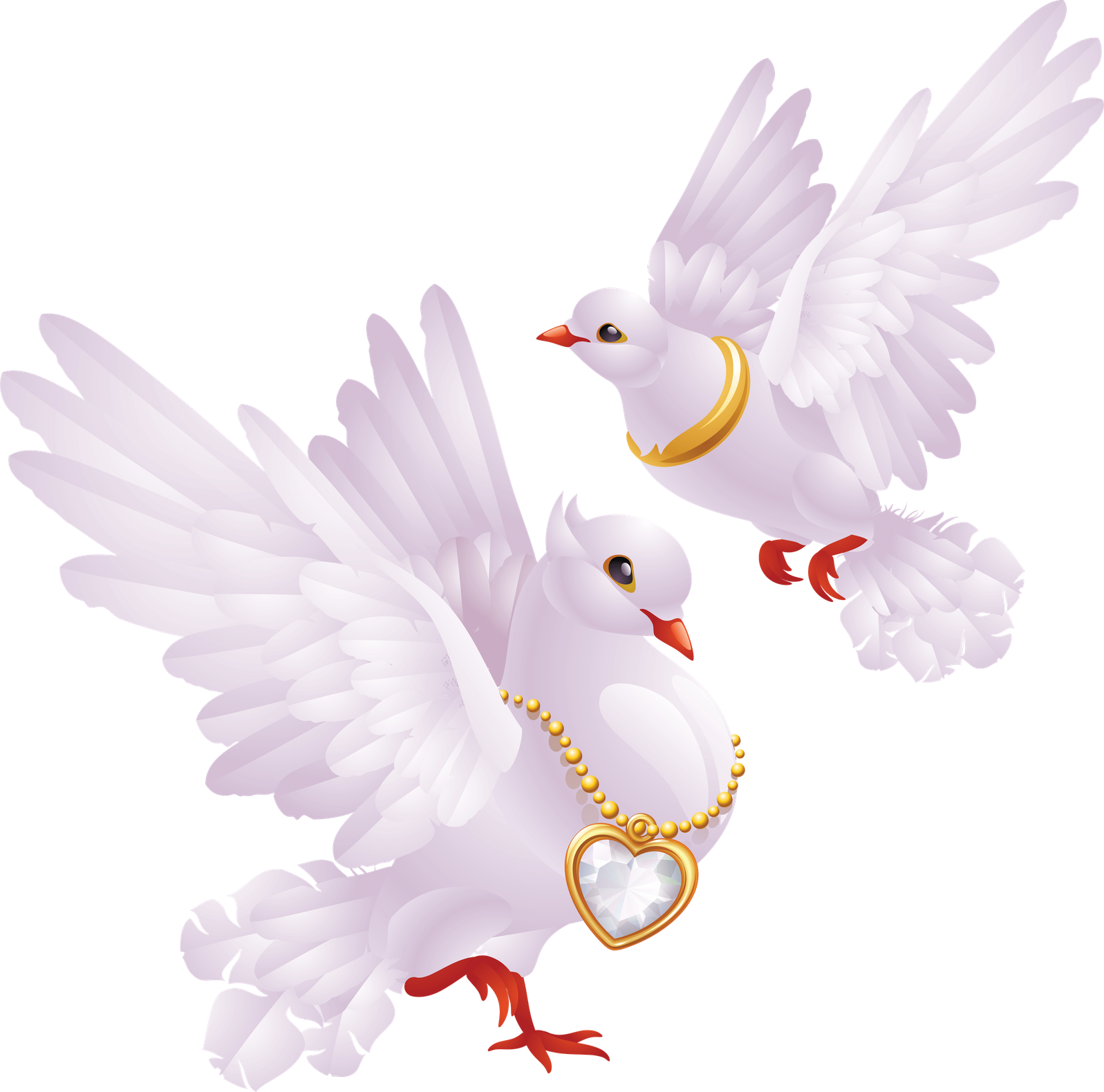 Wedding Pigeon Png Clipart (lavender, black)