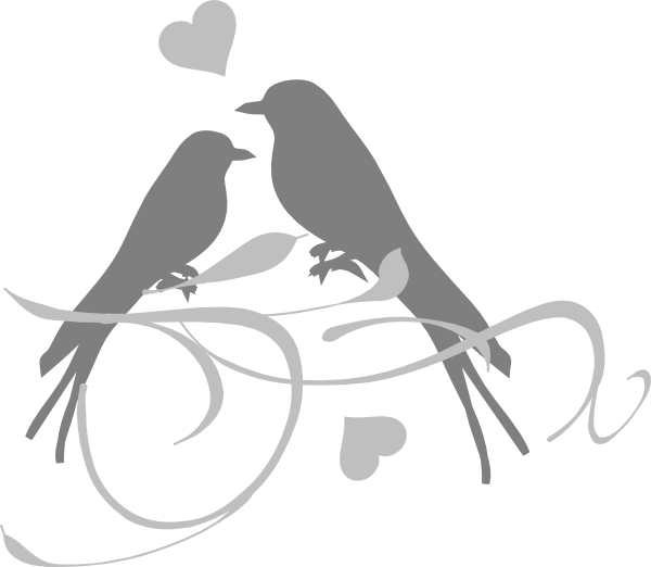 Wedding Pigeon Transparent Background (white, silver, gray)