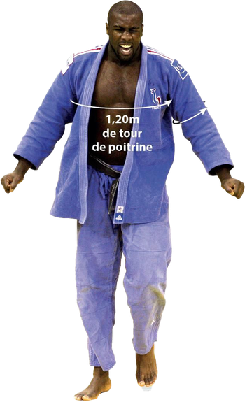 Teddy Riner Olympic Player Png Image (black, gray, silver)