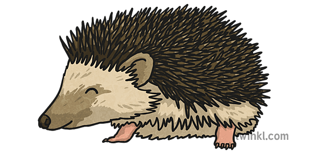 Hedgehogs Download Png Image (black, gray, silver)