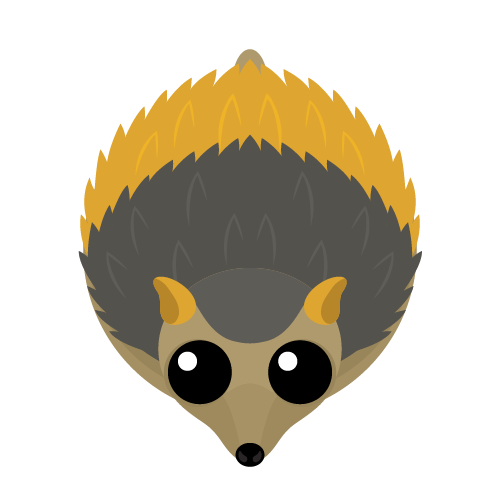 Hedgehogs Png Transparent (black, gray, orange, white)