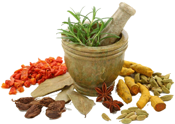 Medicine Herbs Png Image (white)