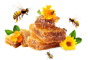 Bee Honey Png Photos (black)