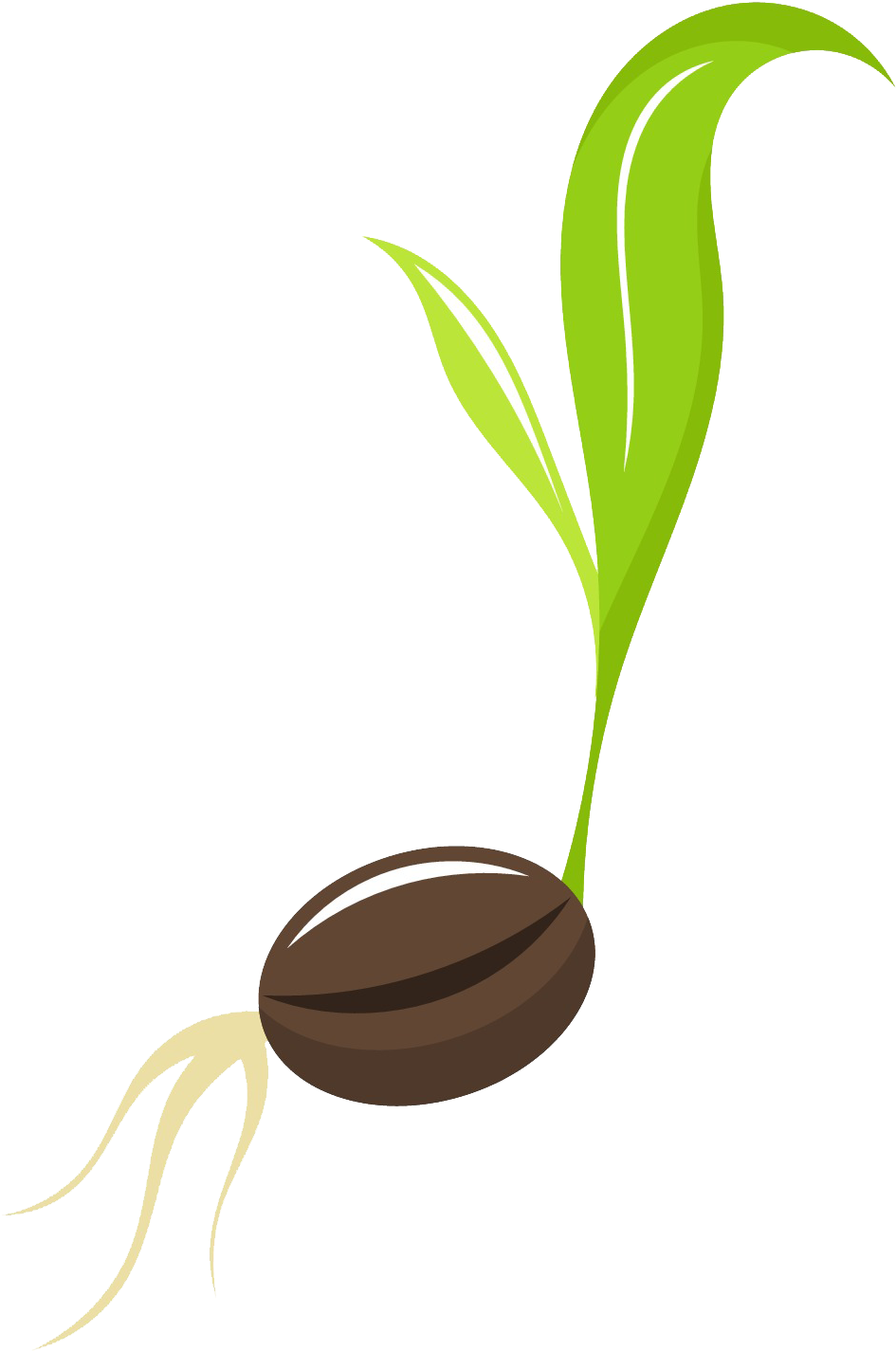 Seed Png Hd (black, maroon, olive)