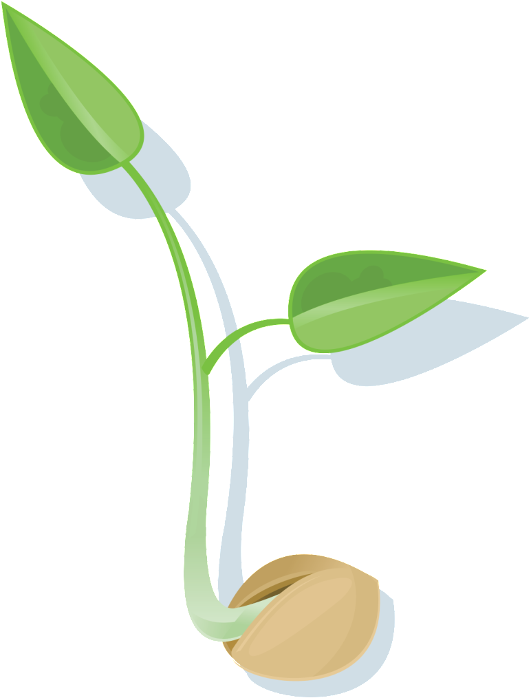 Seed Png Picture (black, silver, lavender, gray)