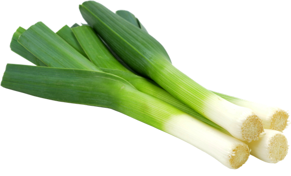 Leek Download Png Image (green, white, gray, black)