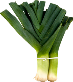 Leek Png (green, olive, black)