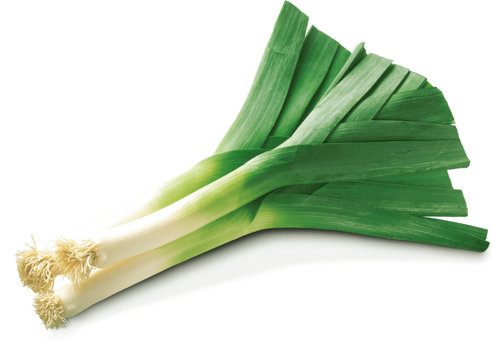 Leek Png Clipart (white, gray, black)