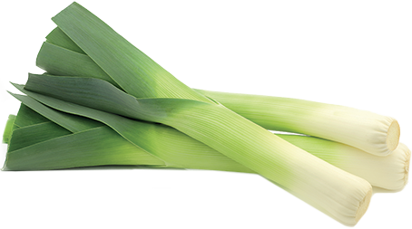 Leek Png File (white)