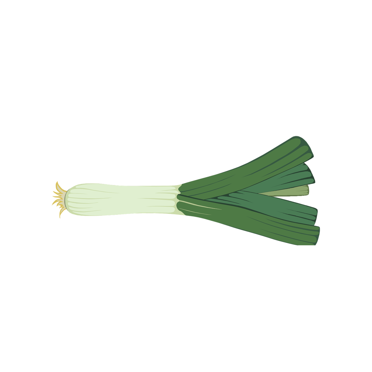 Leek Png Hd Isolated (beige, gray, black)