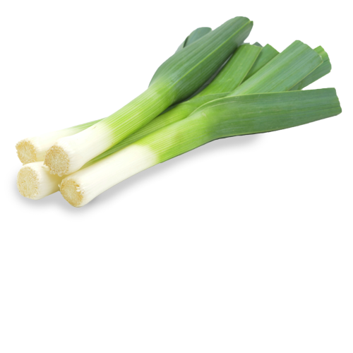 Leek Png Hd (indigo, silver, lavender, black, white)