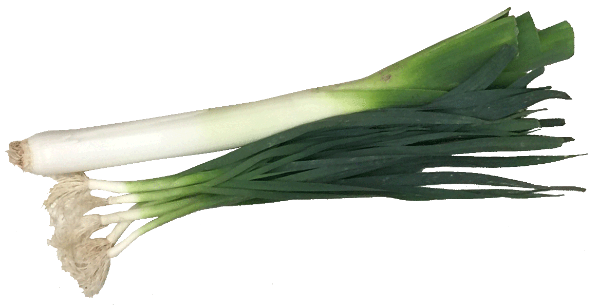 Leek Png Image (green, white, beige)