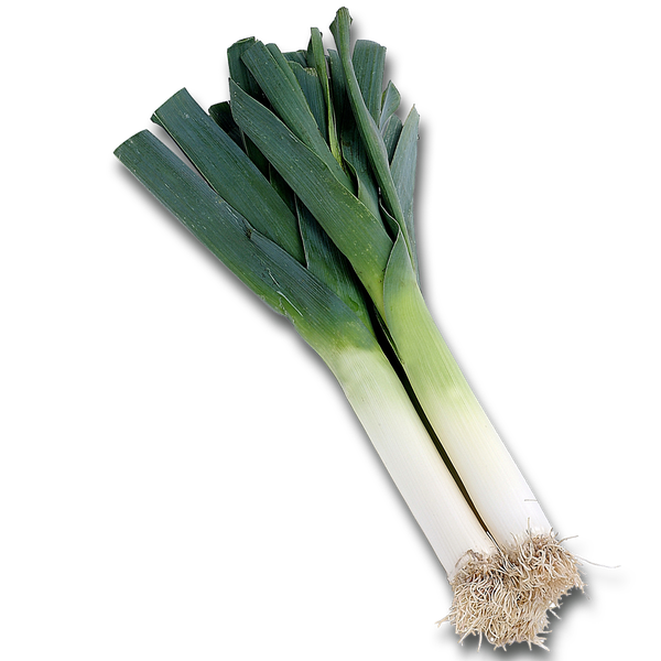 Leek Png Isolated File (black)