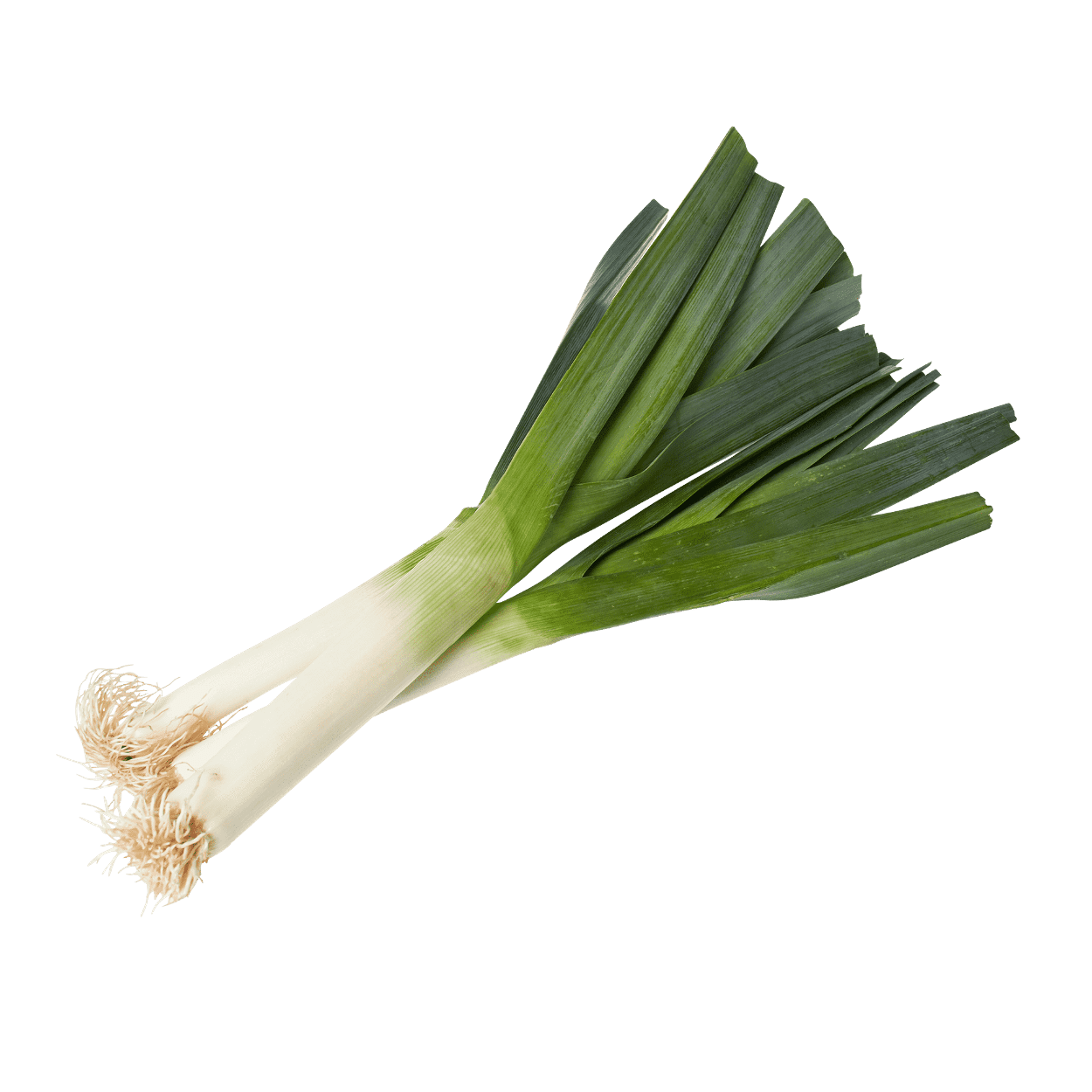 Leek Png Isolated Hd (beige, gray)