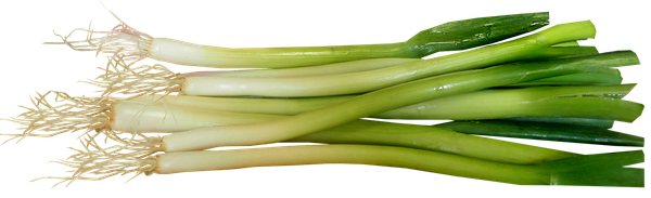 Leek Png Isolated Photos (black)