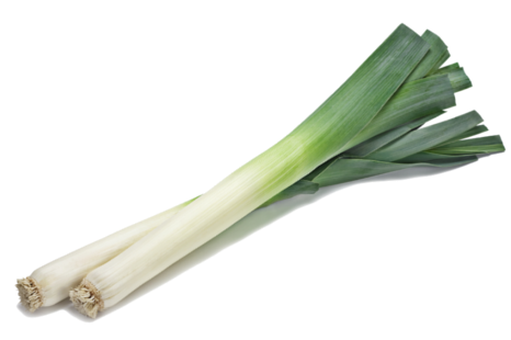 Leek Png Isolated Pic (beige, black)