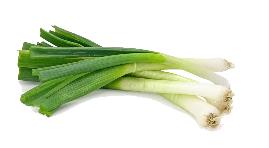 Leek Png Pic (white, silver)