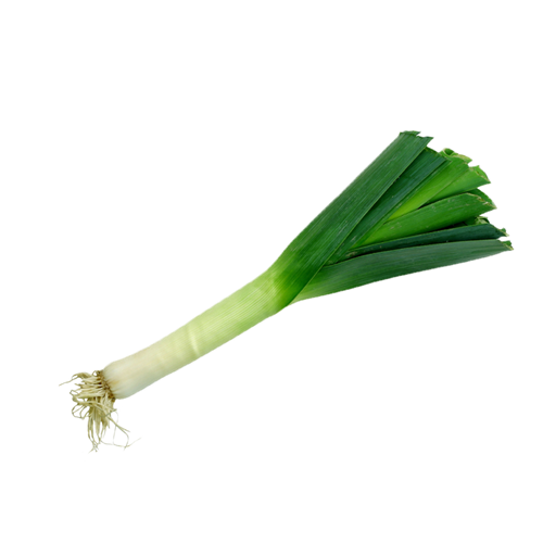 Leek Png Picture (black)