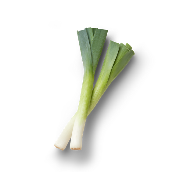 Leek Png Transparent (gray, black)