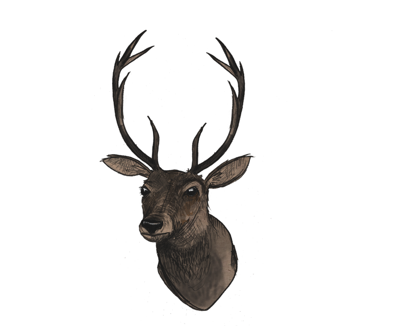 Deer Head Png File (black)