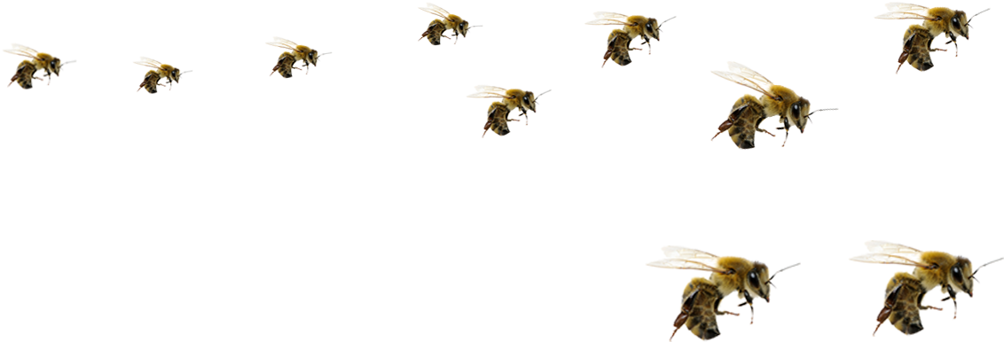 Bees Png Isolated File (black)