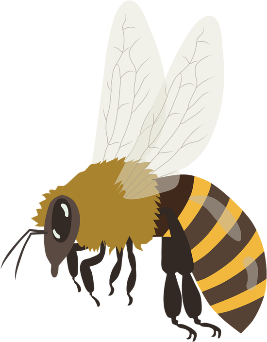 Bees Png Isolated Image (black, beige, orange, chocolate, olive)