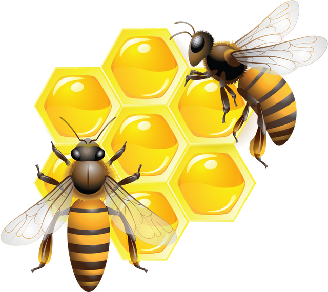 Bees Png Photos (orange, black, gold)