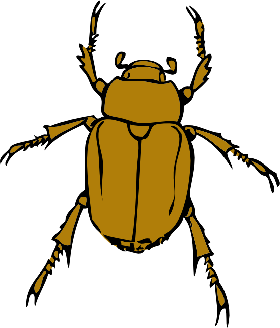 Beetle Bug Clip Art Png (white, black, chocolate)