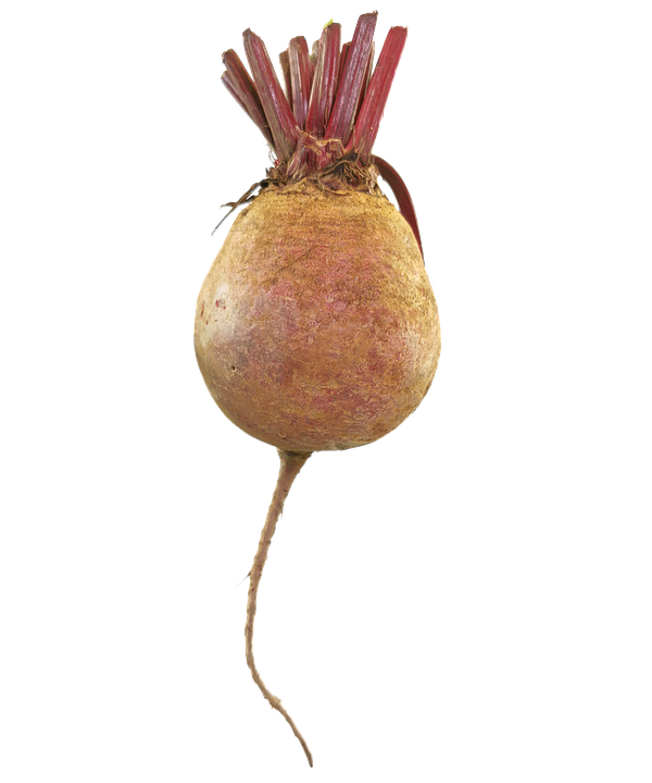 Beetroot Png Free Download (white, gray)