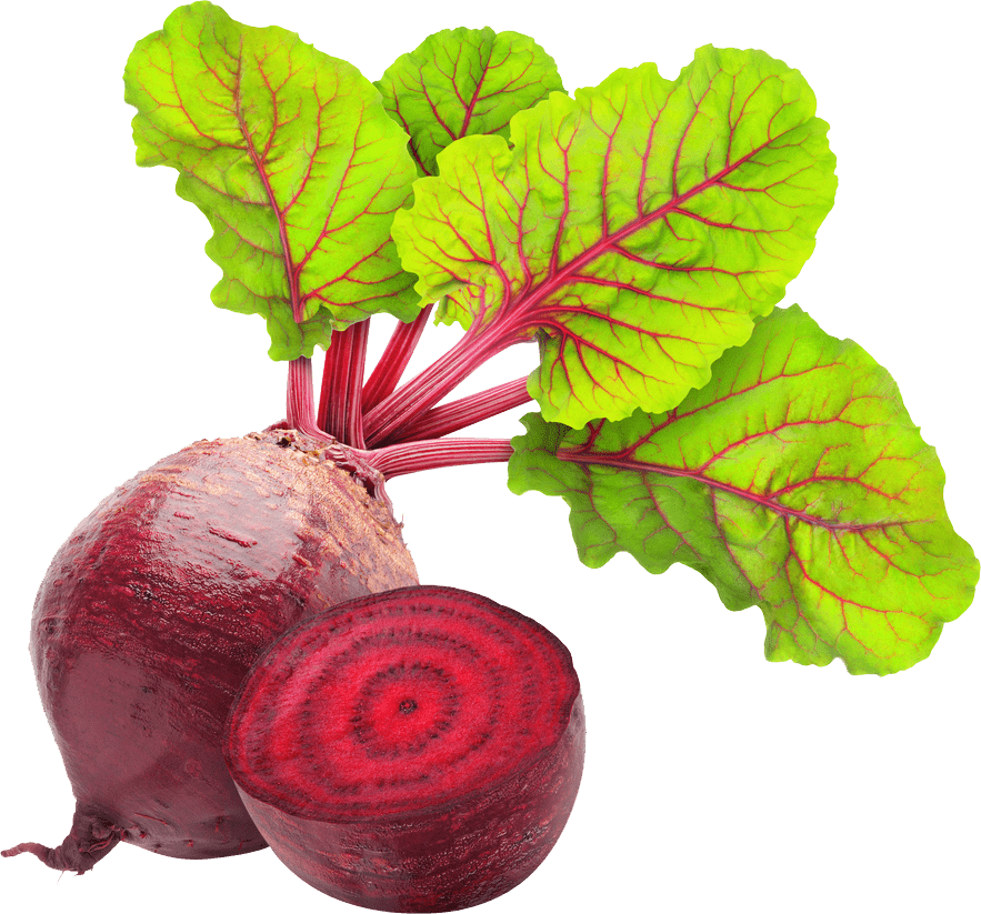 Beetroot Png Pic (gray)