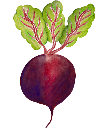 Beetroot Png Transparent (maroon, black, gray, indigo)