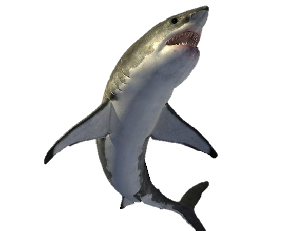 Megalodon Shark Transparent Background (gray)