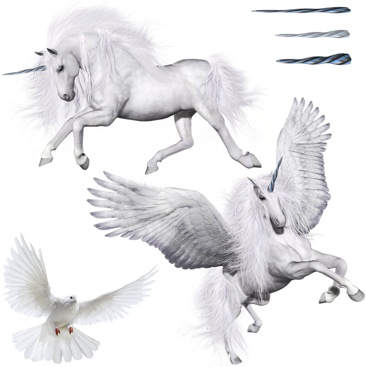 Pegasus Constellation Png Photos (black, white, silver)