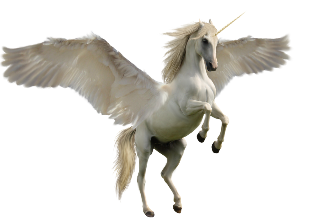 Pegasus Constellation Png Pic (gray, white)