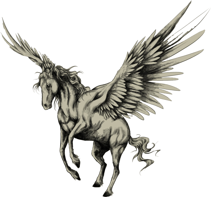 Pegasus Constellation (black, gray)