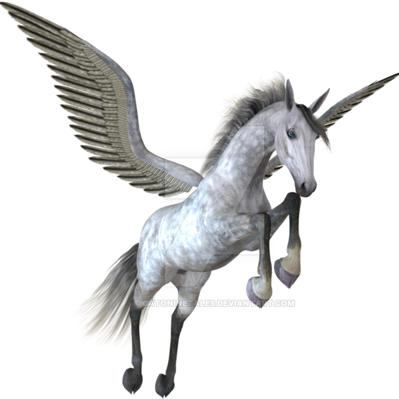 Pegasus Png Image Hd (black, gray, white)