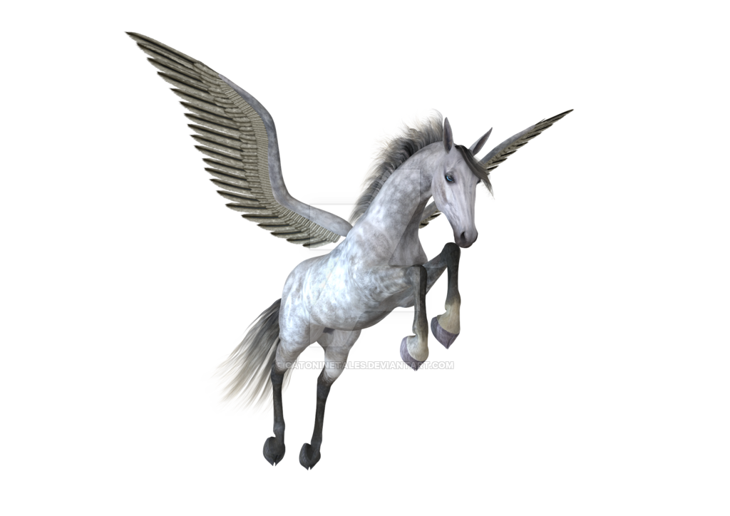 Pegasus Png Image (black)