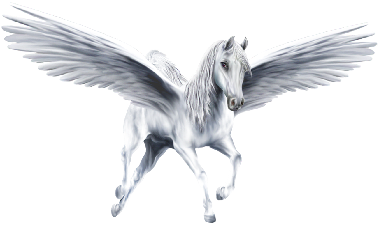 Pegasus Png Photo (white)