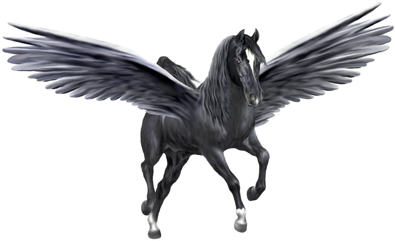 Pegasus Png Picture (black, white)