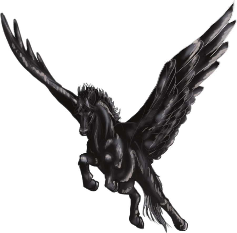 Pegasus Transparent (black, gray)