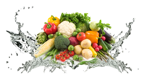 Vegetable Transparent Background (black)