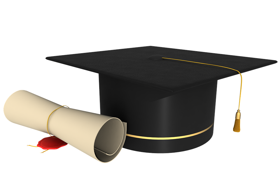 Degree No Background (black)