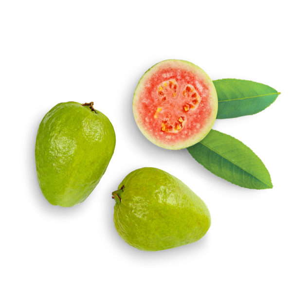 Feijoa Png File (black, olive)