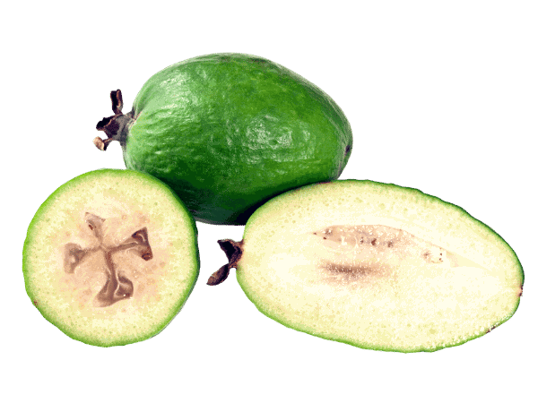 Feijoa Png Hd (beige, gray)