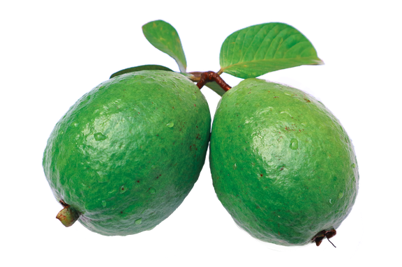 Feijoa Png Isolated File (black)