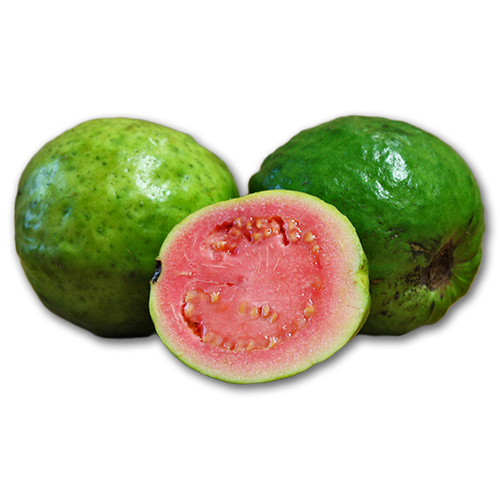 Feijoa Png Isolated Pic (black, salmon)