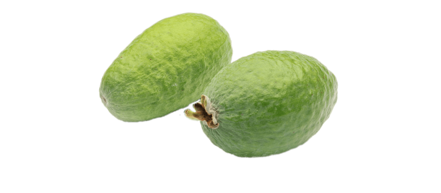 Feijoa Png Pic (gray)